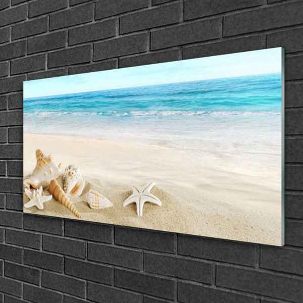 Haus Am Meer Glasbild Seestern Landschaft Wayfair De